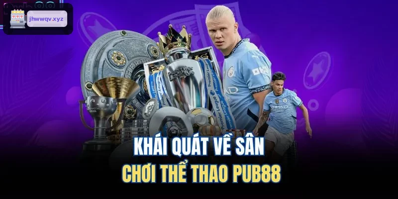 Khái quát về sân chơi thể thao SKY88